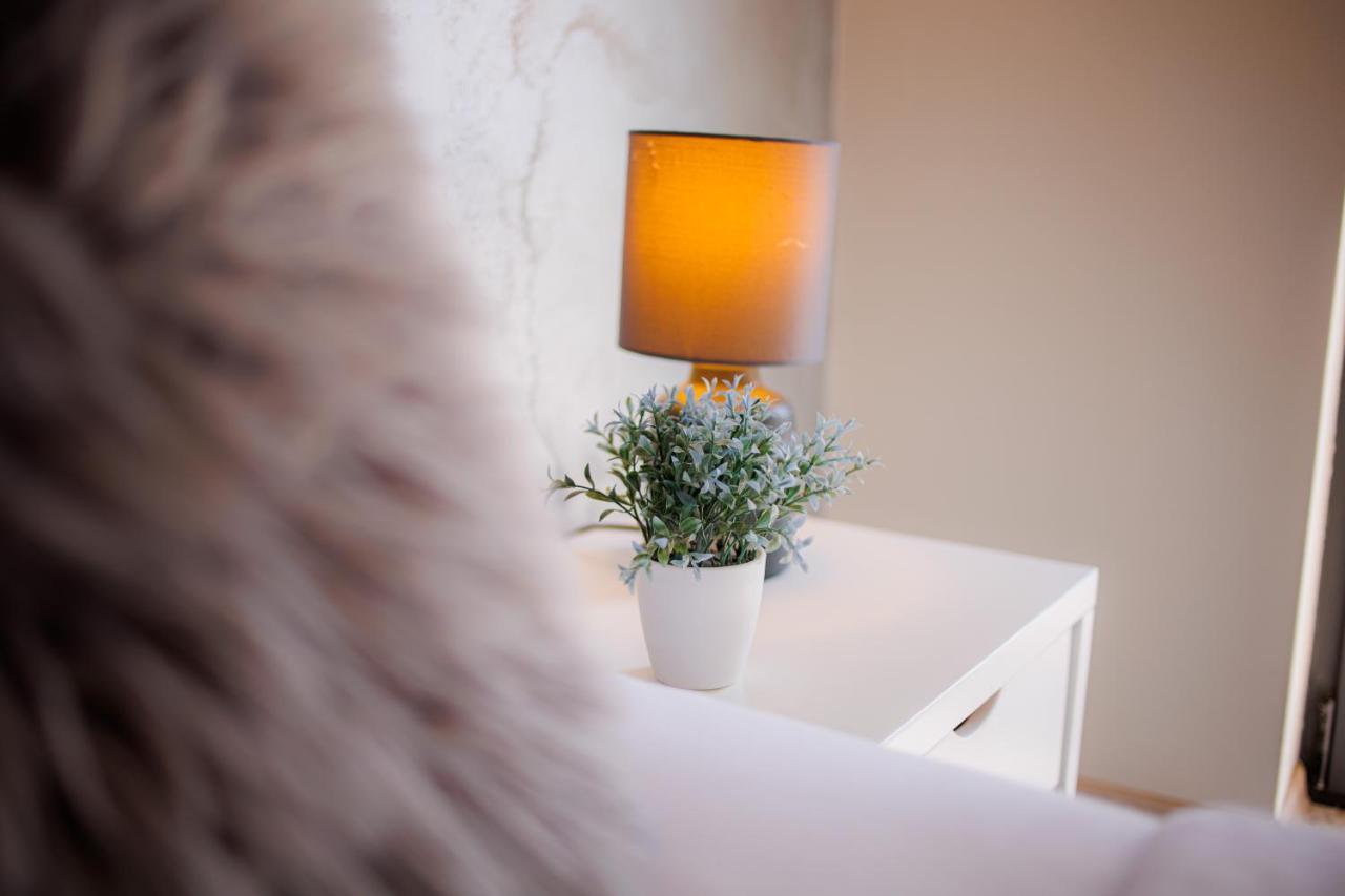 Vonamor Rooms Novi Sad Bagian luar foto